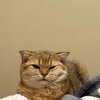 Алина Ильина