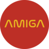 Лида Амиговна