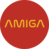Лида Амиговна