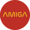 Лида Амиговна