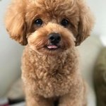 Евгений
