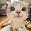 Николай Новиков
