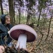 София Сарабьева