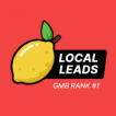 Анастасия Local Leads