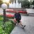 Константин Суровец