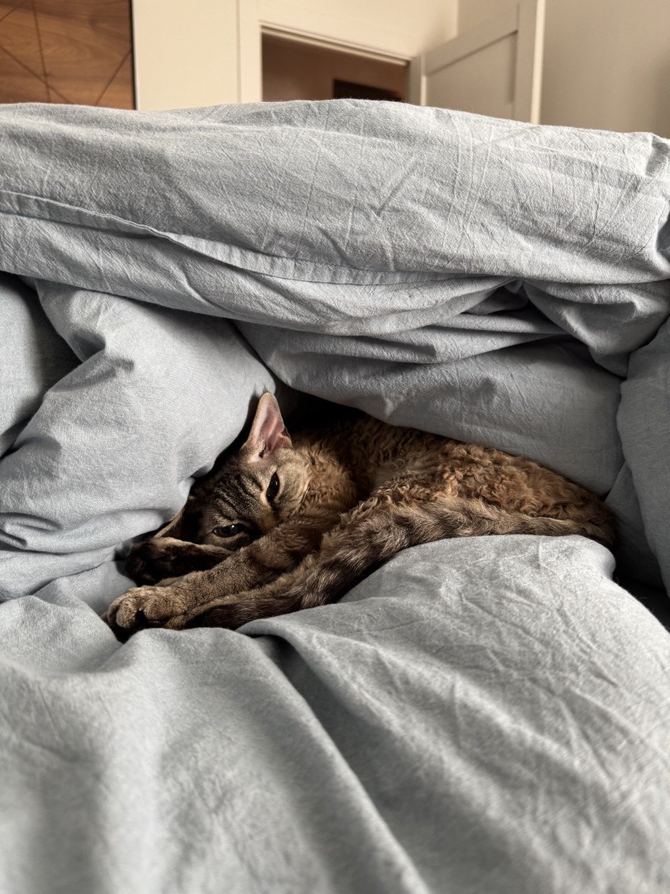 Александра