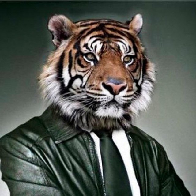 Владимир Юрьевич