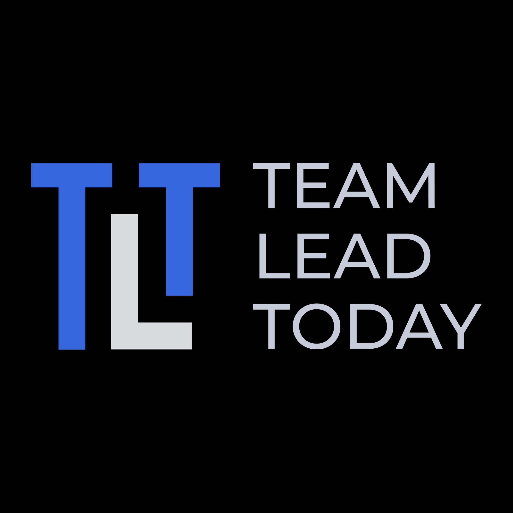 Team Lead
