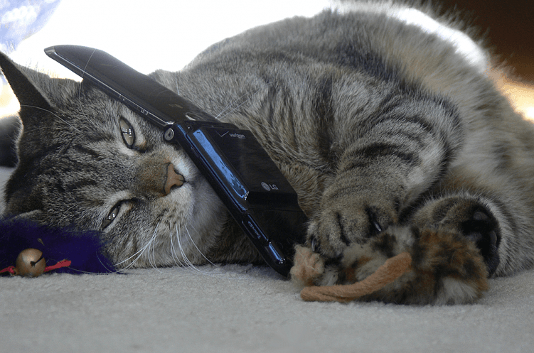 Какие сотрудники нужны для обслуживания интернет-магазина?