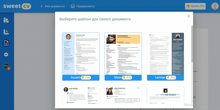 Ошибки в резюме диджитал-специалиста: как не получить отказ?