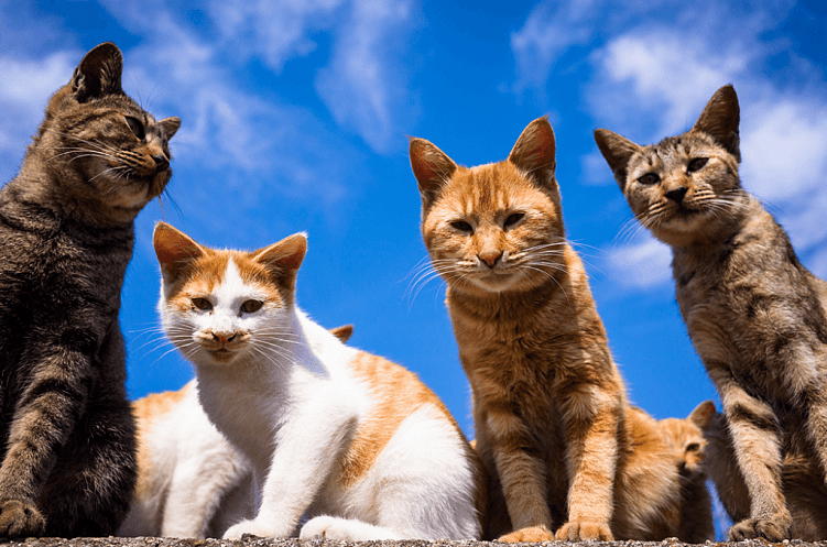 Какие сотрудники нужны для обслуживания интернет-магазина?