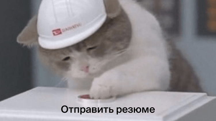 Почему круто работать руководителем проектов в агентстве. Карьера в CreativePeople