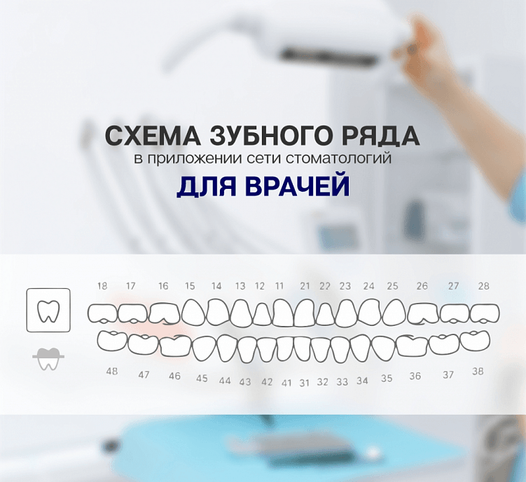 Приложения для клиентов и сотрудников: разница в подходах к разработке