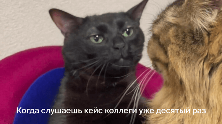 Почему круто работать руководителем проектов в агентстве. Карьера в CreativePeople