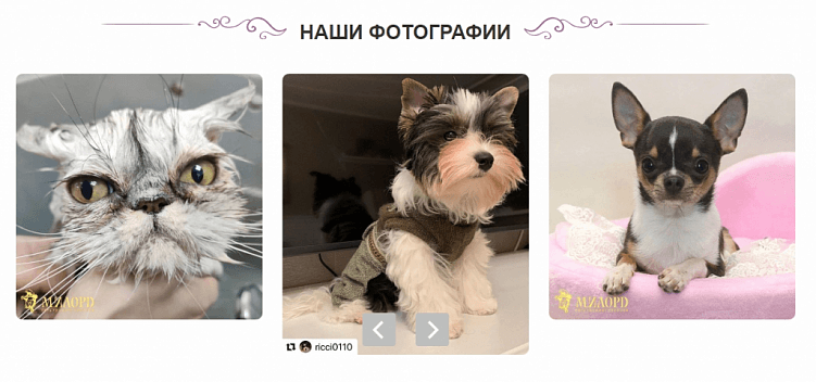 Создаем идеальную структуру лендинга, которая начнет продавать с первых дней