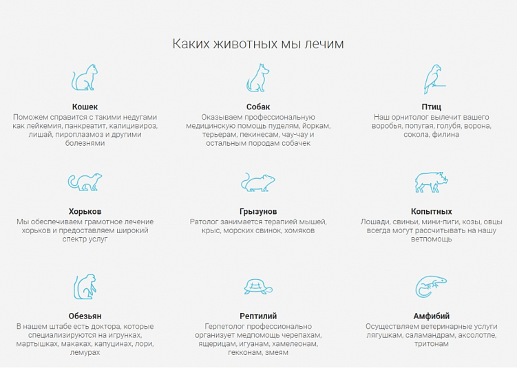 Создаем идеальную структуру лендинга, которая начнет продавать с первых дней