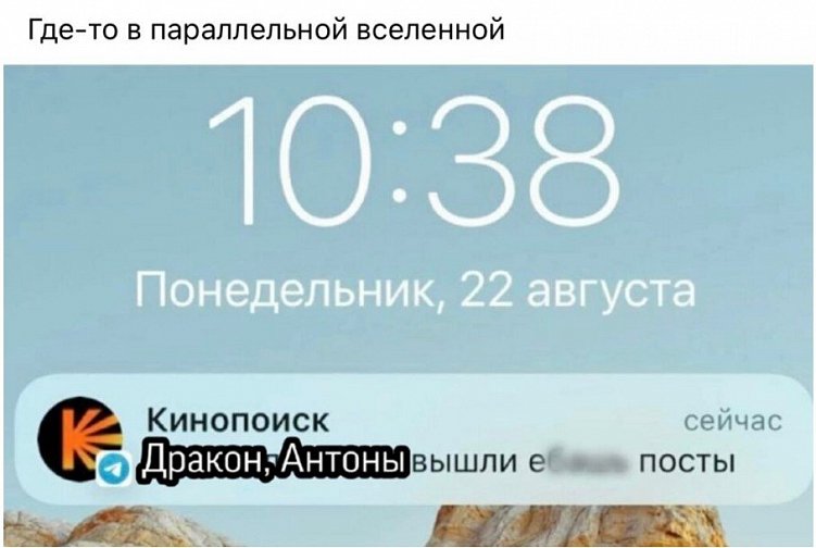 11 типов UGC-контента: что это за контент и что он дает бизнесу