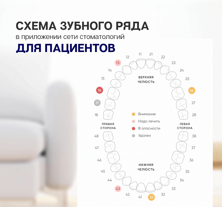 Приложения для клиентов и сотрудников: разница в подходах к разработке