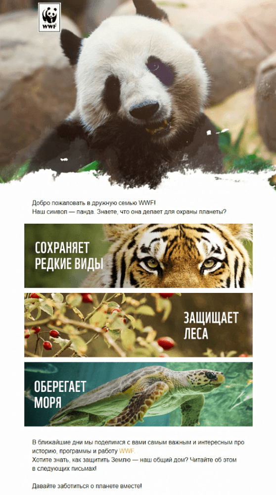 Гид по видам email-рассылок: что, кому и когда писать