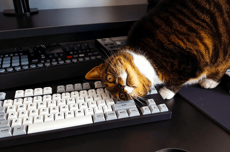 Какие сотрудники нужны для обслуживания интернет-магазина?