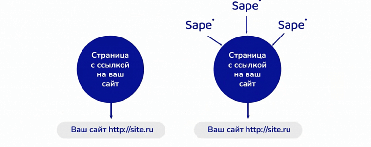 Как добиться максимальной эффективности от линкбилдинга: советы эксперта