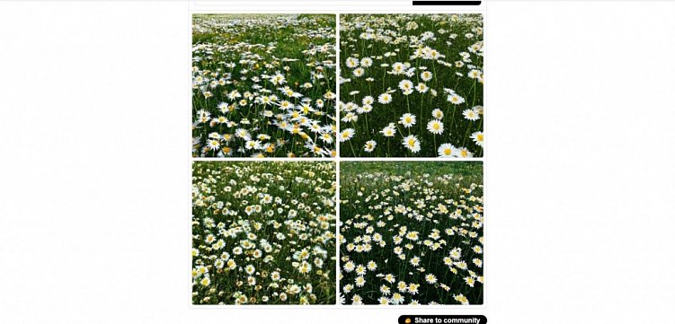 Обзор на российские нейросети для создания изображений – Kandinsky и Шедеврум