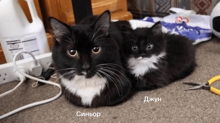 Почему круто работать руководителем проектов в агентстве. Карьера в CreativePeople