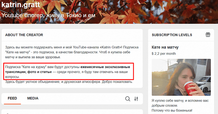 Подписки как дополнительный способ заработка на контенте