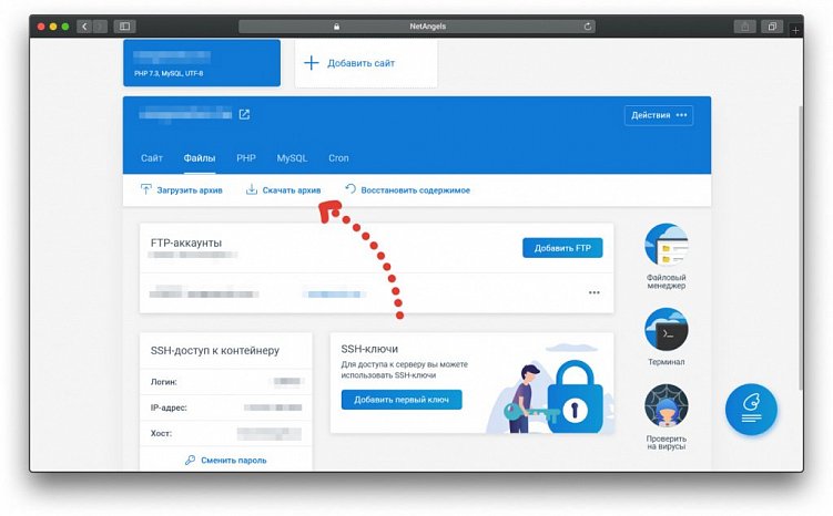 Как перенести сайт без потери позиций