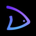 Darvin — разработка сайтов и приложений.